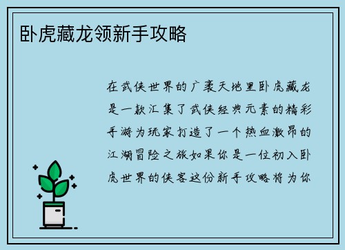 卧虎藏龙领新手攻略